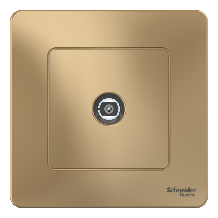 Розетка TV Schneider Electric BLANCA, скрытый монтаж, титан, BLNTS000014